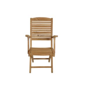 Monkey Chair With Arm